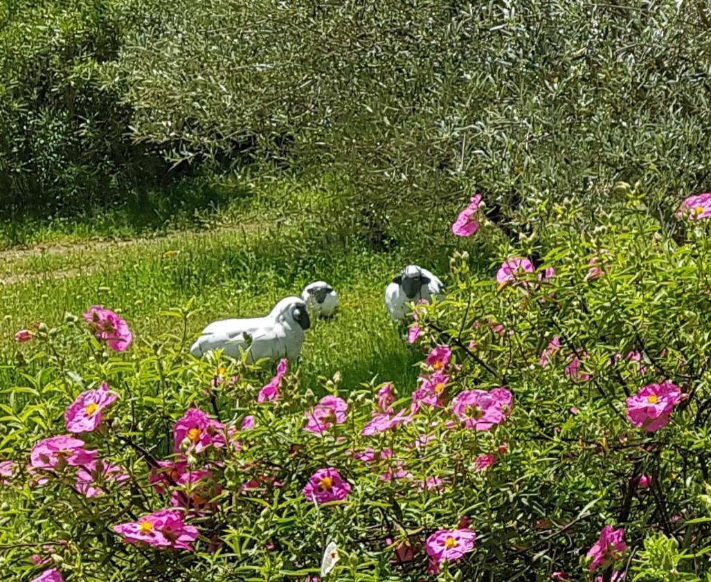科蒂尼亚克Pierres Blanches住宿加早餐旅馆 外观 照片